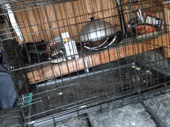 Medium Dog Cage