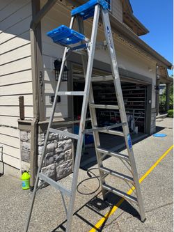 Ladder 8 feet
