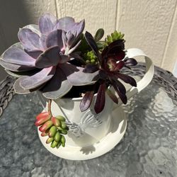 Succulent Planter