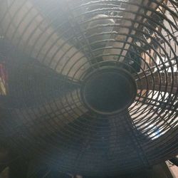 Fan and heater