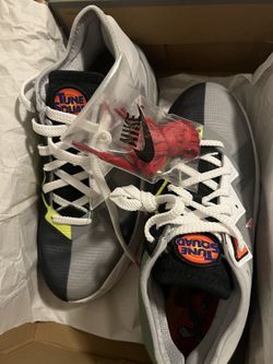 Lebron Space Jam Shoes
