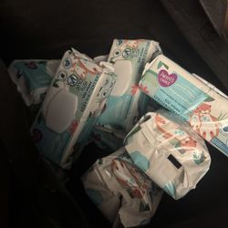 Parents Choice Wipes
