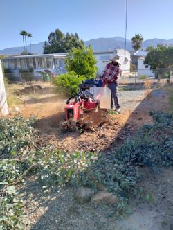 Stump Grinder