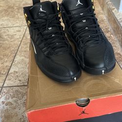 Jordan master 12s size 8