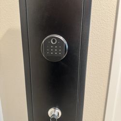 3 Gun Fingerprint Safe for Household 