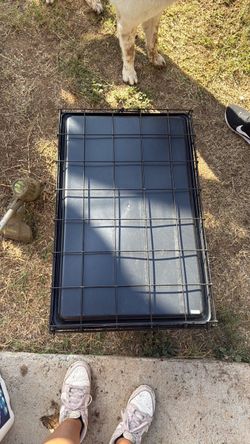 Medium wire dog crate