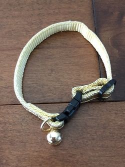 Small/X-Small gold cat collar with bell