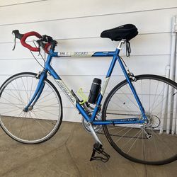 Novara Forza road bike