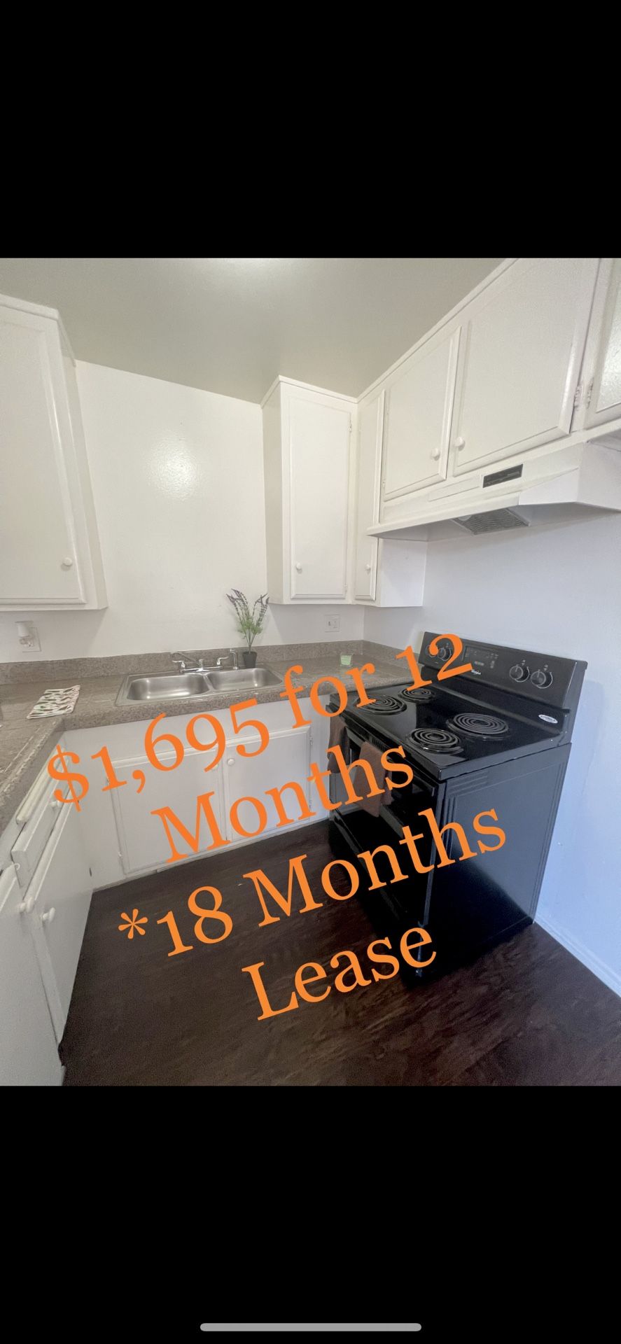 Apartments For Rent