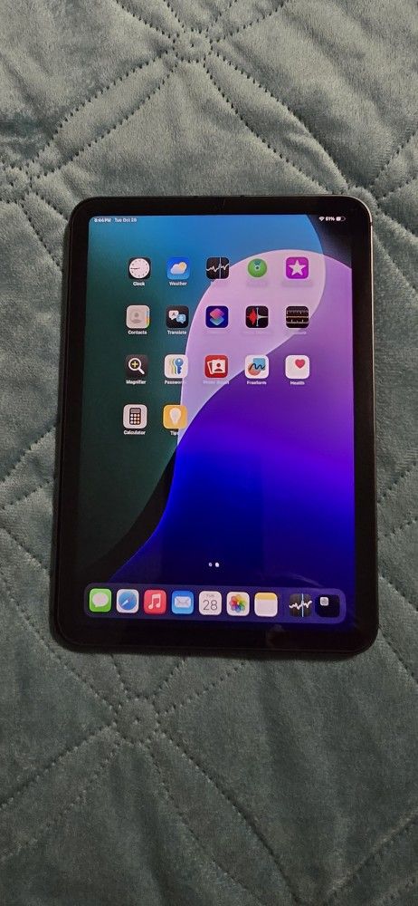 Ipad Mini 6th Gen 64GB Silver