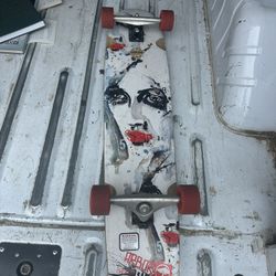 Arbor Bamboo Long Board 