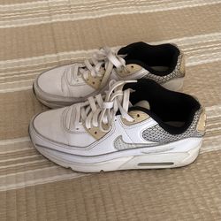 Nike Air MAX Shoes