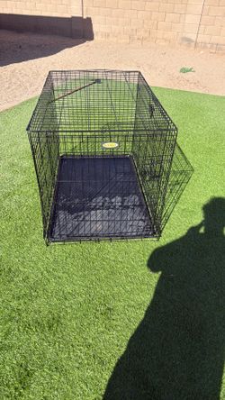 Large dog crate