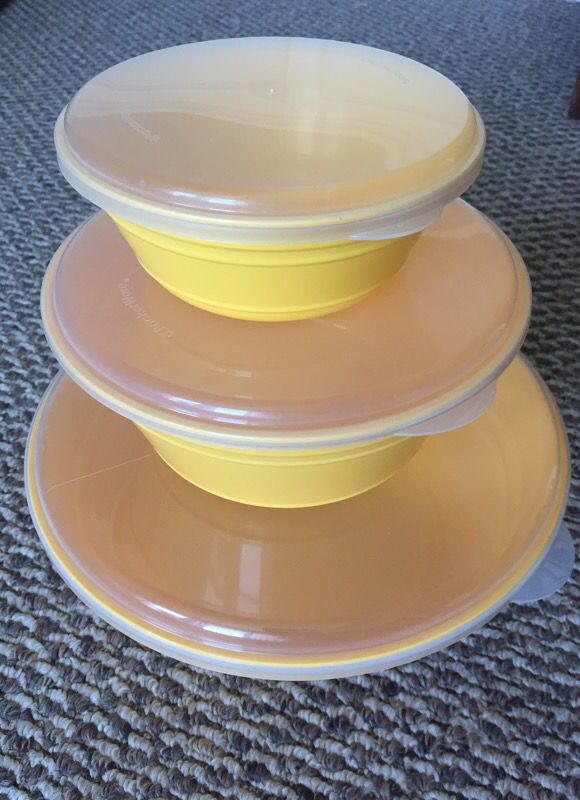 Packer ware Bowls with Lids