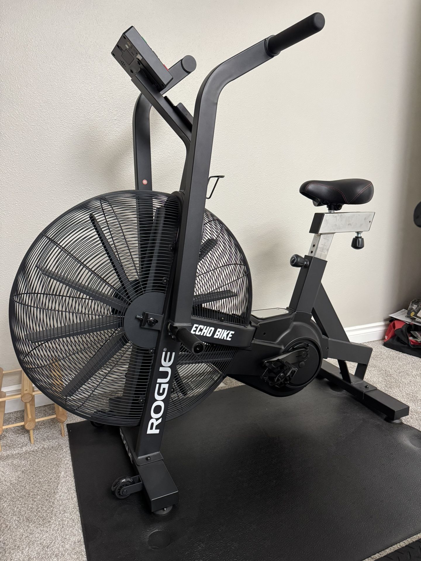 Rogue Echo Bike