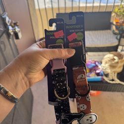 Brand New Spooky Dog Collars 
