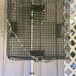 Shrimp pots with buoy and rope