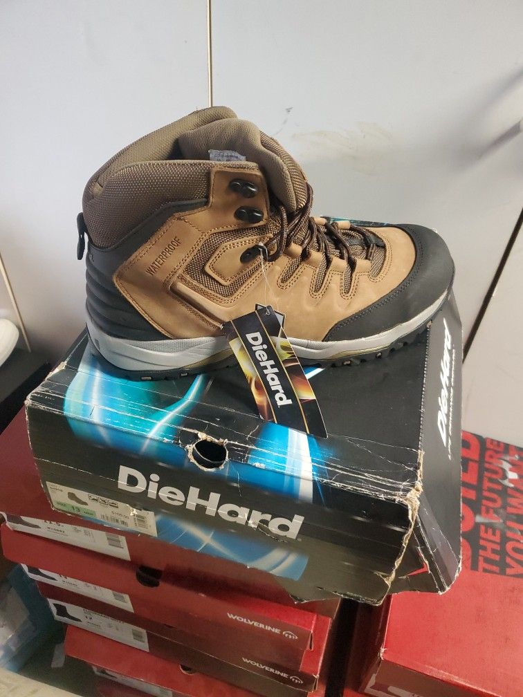Did Hard Work Boot 