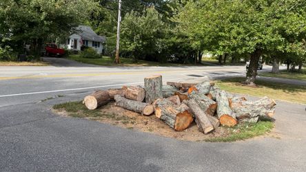 Wood for pickup. Best and Quickest Offer