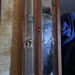 Curio Cabinet With Light 