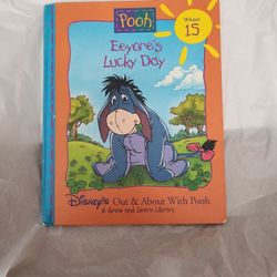 Eeyore's Lucky Day