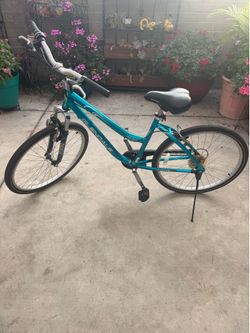 26in bike