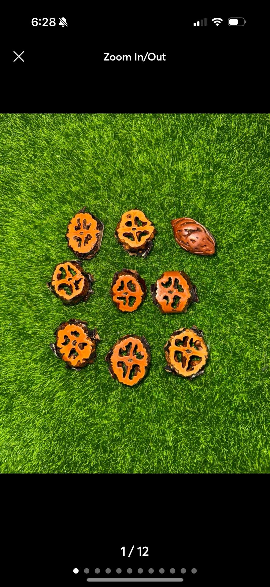 slices of black walnuts lot