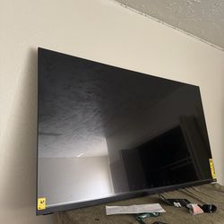 Vizio 55 inch smart tv