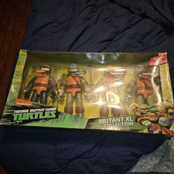 TMNT Set