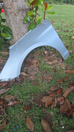 2017 Sonata fender/hood