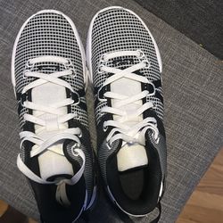 Lebron Witnesses Size 10.5