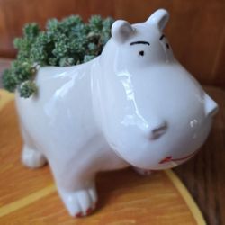 Hippo Cute Ceramic Planter $10. Pick-up In Aurora. 