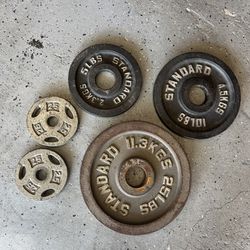 misc weights / plates 