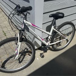 Nishiki girl’s bike