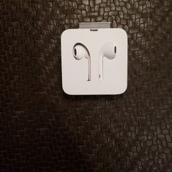 Brand New Apple Earbuds 