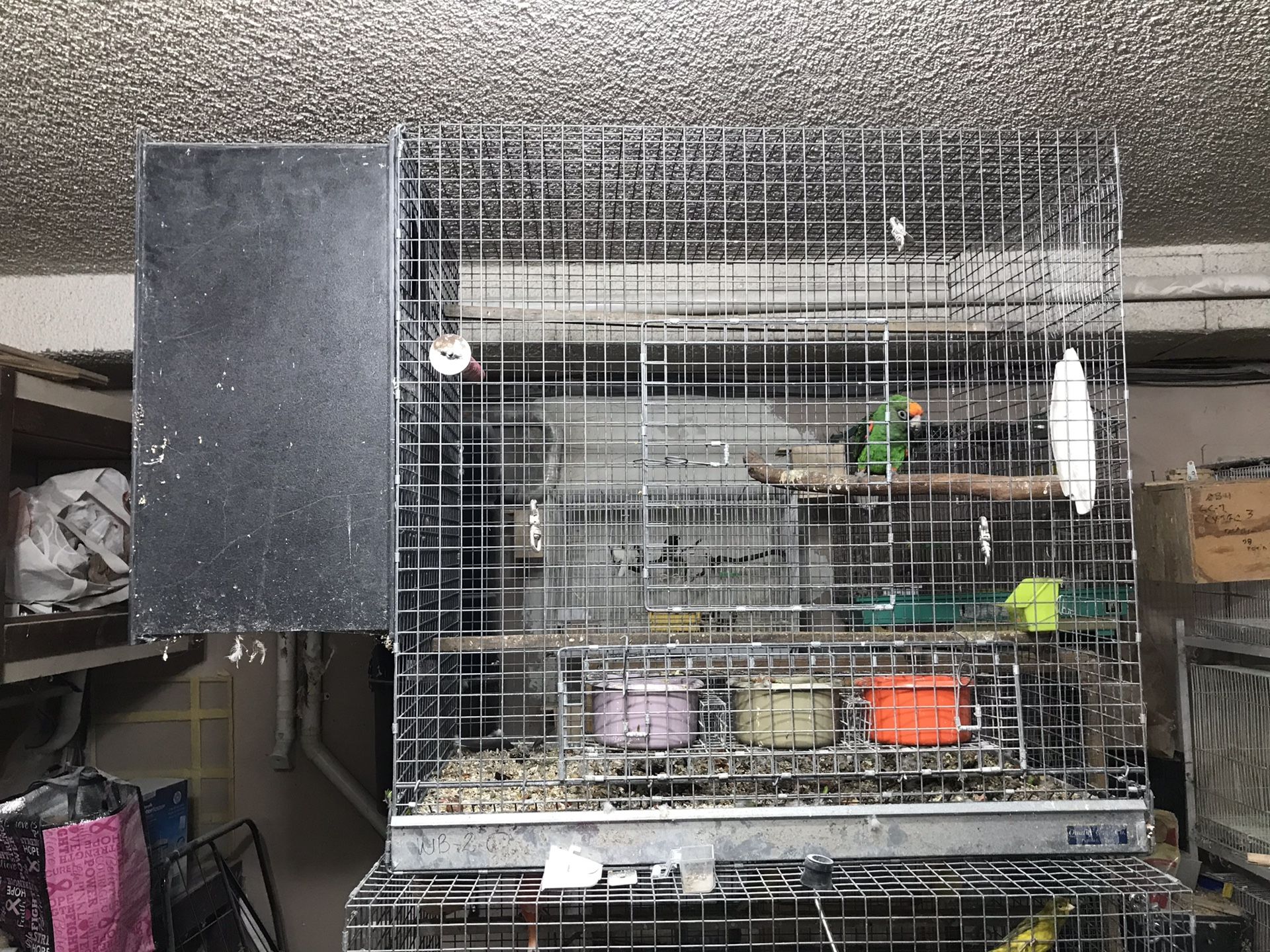 High quality birds cage