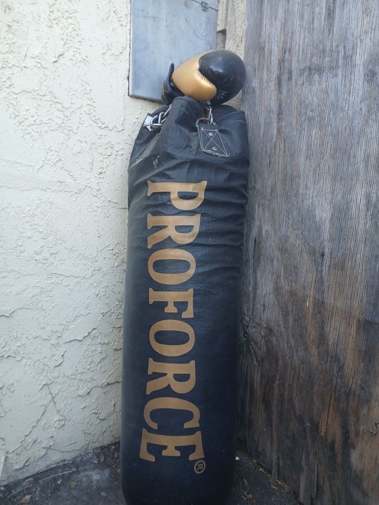 Punching Bag π₯