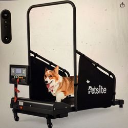 Dog Treadmill