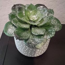 Kirkland’s Faux Glittered Succulent 