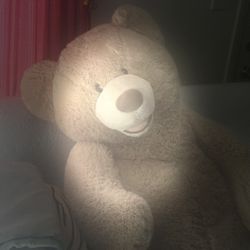 Teddy Bear 
