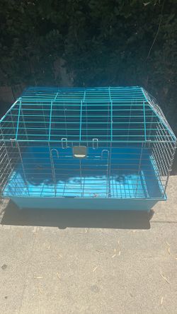 Guinea pig cage