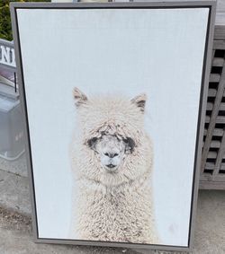 Llama Wall Art