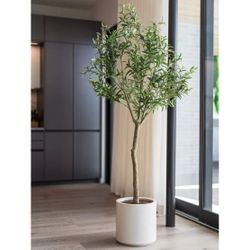 [Brand New] Faux 6.5' Olive Tree with Modern Cream Planter (Out of Box)