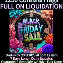 Lots To Choose From- Hundreds Of Frags 