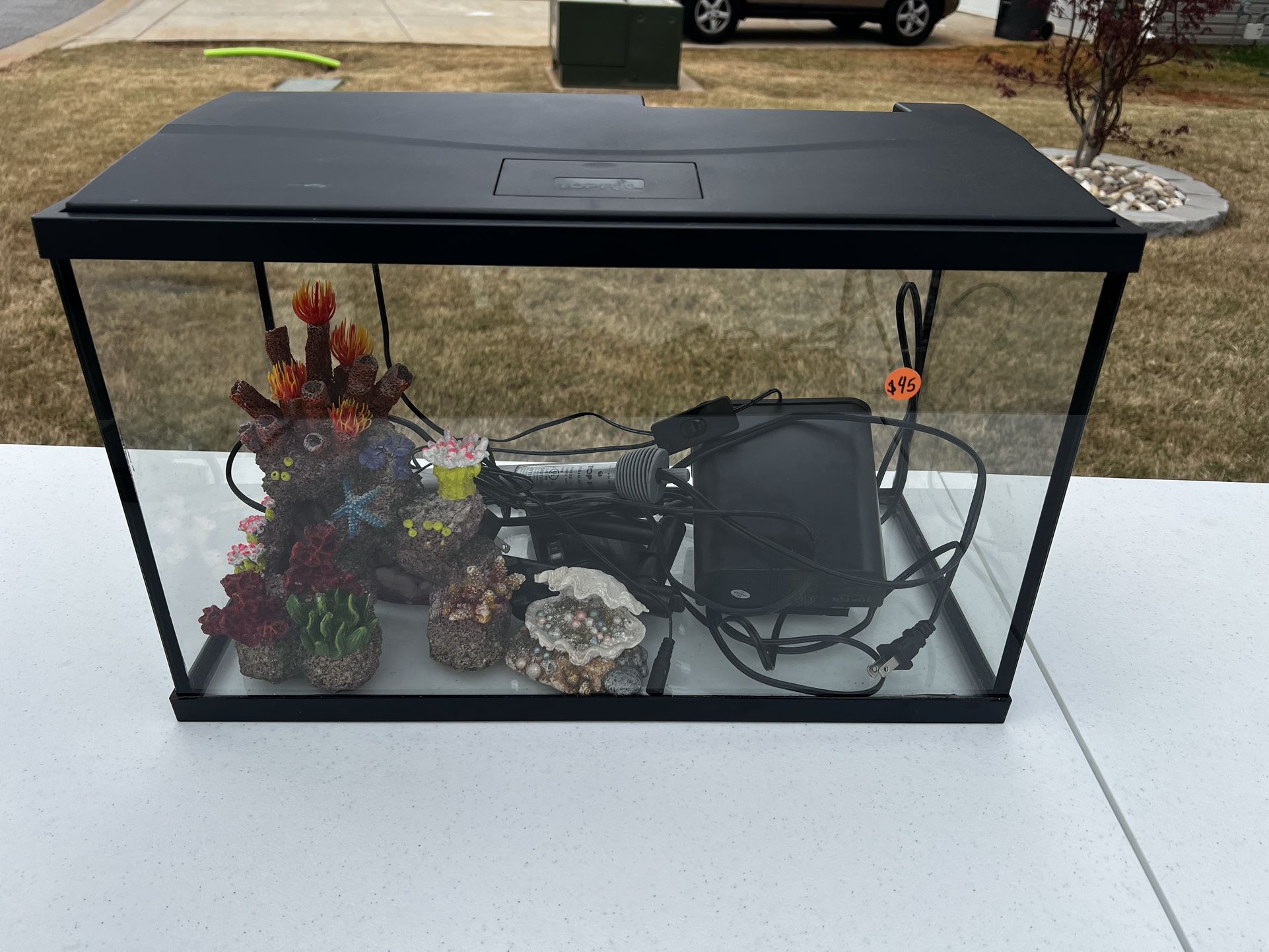 Fish Tank