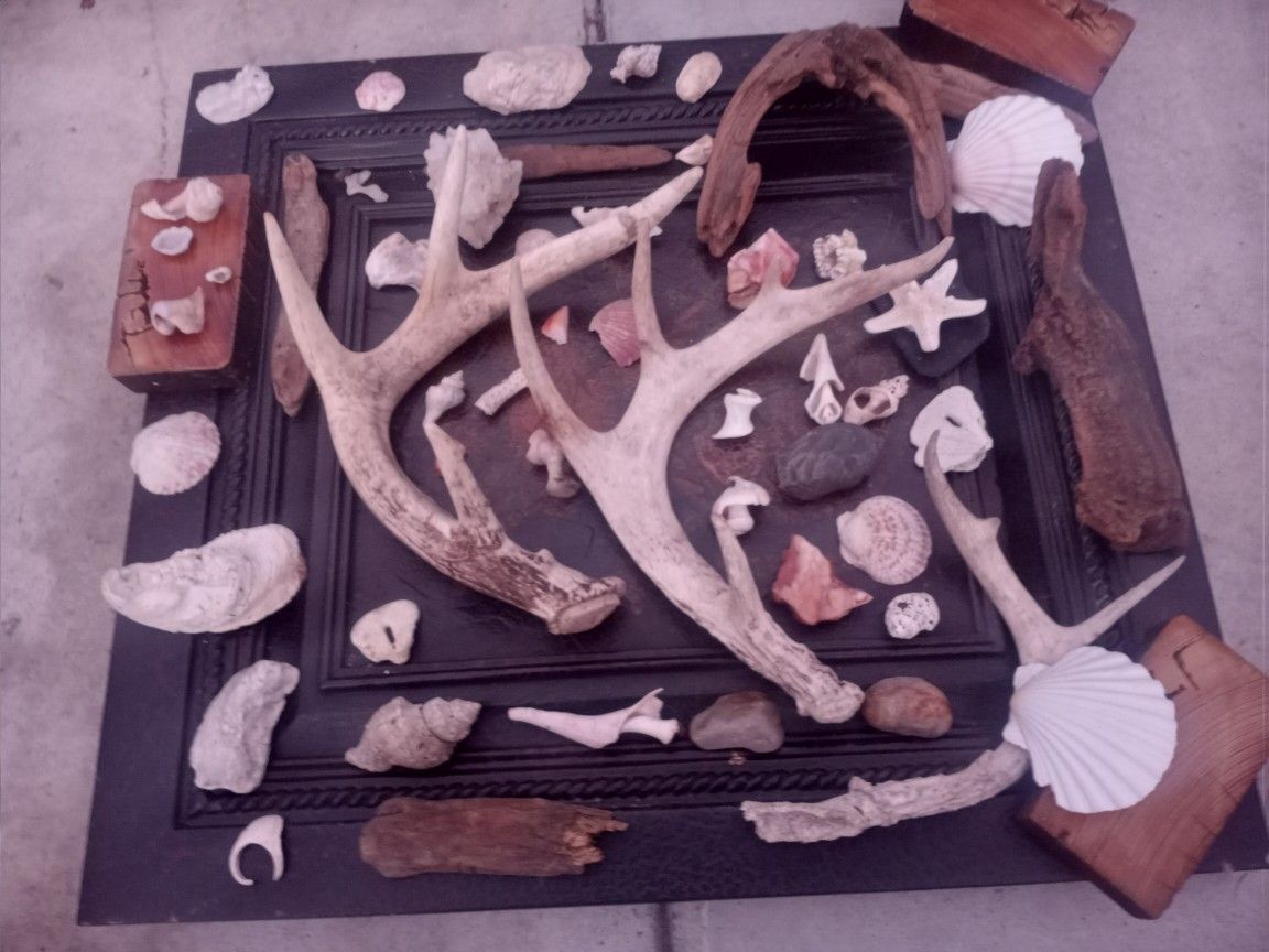 Antlers, Crystals, Marble, Driftwood, Ect