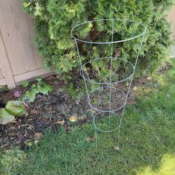 Tomato  Plant Cages - 4 rings- Galvanized Steel