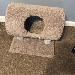 Cat Stand