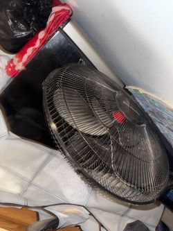 fan
