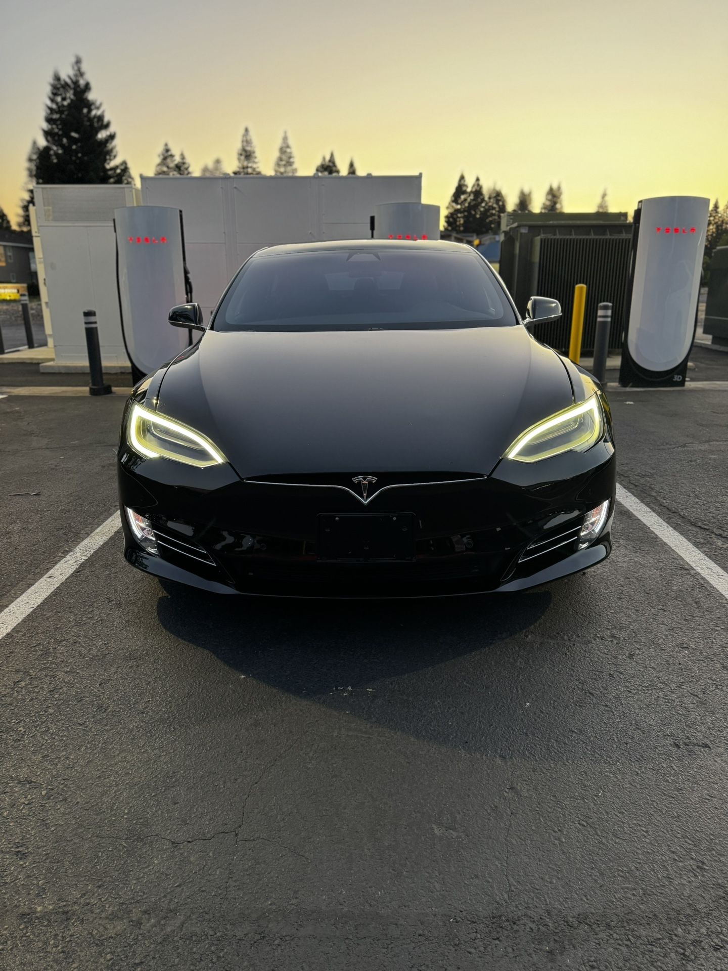 2019 Tesla Model S